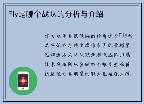 Fly是哪个战队的分析与介绍
